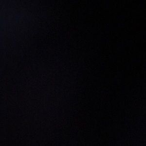 Meet your Posher, Alissa